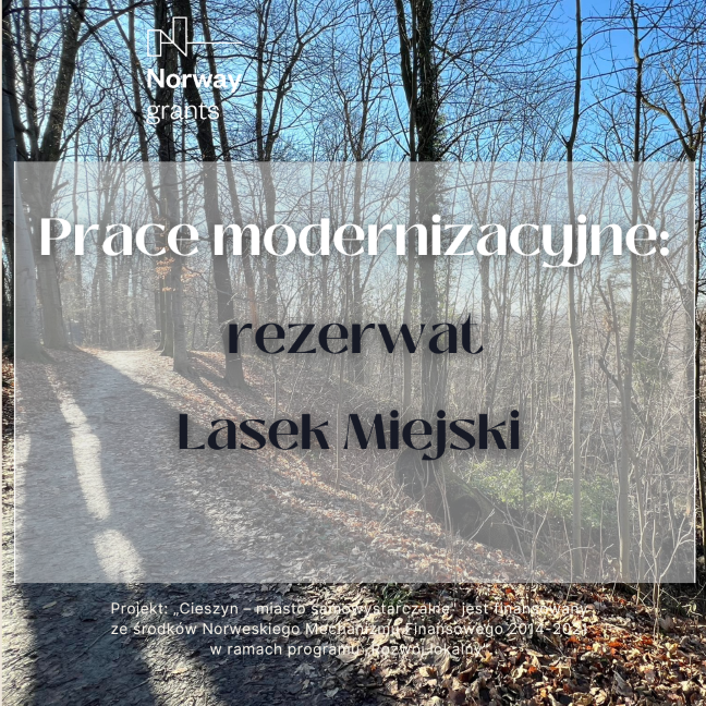 Lasek Miejski (mat UM Cieszyn)